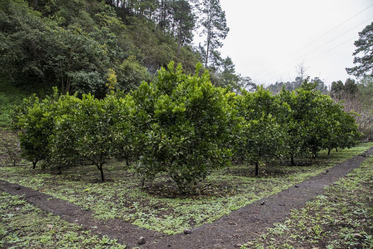 Casa Kirva Hotel Coban Luaran gambar